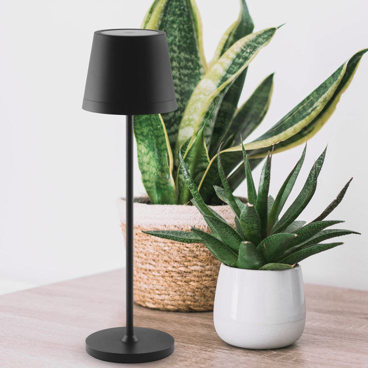 Lampe de Table sans fil LED